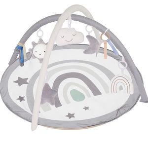 NEW Baby play mat/gym